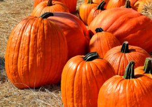 pumpkins-1572864_1280