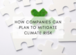 companies climate risk